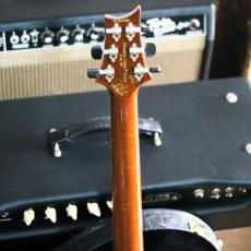 Paul Reed Smith [PRS] Private Stock#7223 Holloubody Ⅱ MaCarty 594 Limited "1of 60"_4