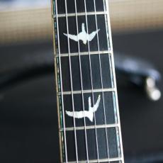 Paul Reed Smith [PRS] Private Stock#7223 Holloubody Ⅱ MaCarty 594 Limited "1of 60"_6