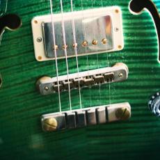 Paul Reed Smith [PRS] Private Stock#7223 Holloubody Ⅱ MaCarty 594 Limited "1of 60"_8