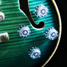 Paul Reed Smith [PRS] Private Stock#7223 Holloubody Ⅱ MaCarty 594 Limited "1of 60"_9