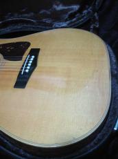 TAMA TG-160 / Flagship Model・Select Solid  Spruce Top・Select Solid Jacaranda Side and Back・Ebony Fingerboard and Bridge・Tortoise Pick-guard【With Yamaha Hard Case】1978年製_10