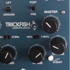 TRICKFISH Minnow_5