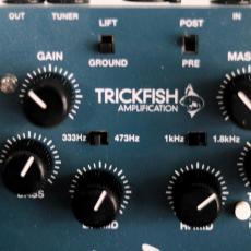TRICKFISH Minnow_6