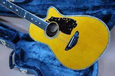 TSK NO.8 Not Aged 本鼈甲 Pick-guard 【坂崎幸之助・Terry 中本】 / Goth 510 Gold Peg・Head and Top and Back Abalone Trim・Star Inlay・Solid Spruce Top・Solid Indian Rosewood Side and Back・Tortoise Pick-guard【With Original H_2