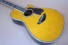 TSK NO.8 Not Aged 本鼈甲 Pick-guard 【坂崎幸之助・Terry 中本】 / Goth 510 Gold Peg・Head and Top and Back Abalone Trim・Star Inlay・Solid Spruce Top・Solid Indian Rosewood Side and Back・Tortoise Pick-guard【With Original H_3