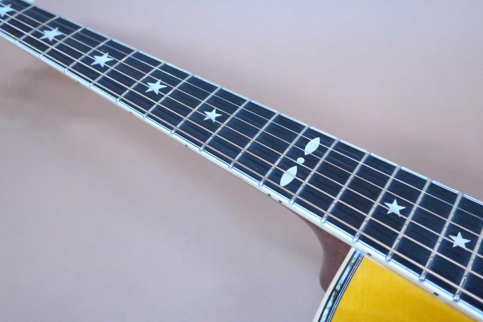 TSK NO.8 Not Aged 本鼈甲 Pick-guard 【坂崎幸之助・Terry 中本