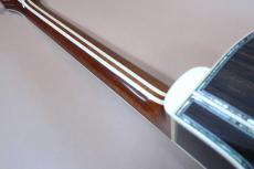 TSK NO.8 Not Aged 本鼈甲 Pick-guard 【坂崎幸之助・Terry 中本】 / Goth 510 Gold Peg・Head and Top and Back Abalone Trim・Star Inlay・Solid Spruce Top・Solid Indian Rosewood Side and Back・Tortoise Pick-guard【With Original H_10