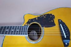 TSK NO.8 Not Aged 本鼈甲 Pick-guard 【坂崎幸之助・Terry 中本】 / Goth 510 Gold Peg・Head and Top and Back Abalone Trim・Star Inlay・Solid Spruce Top・Solid Indian Rosewood Side and Back・Tortoise Pick-guard【With Original H_11