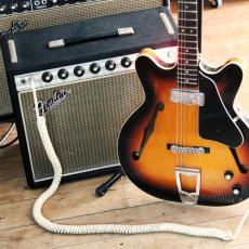 Fender Coronado_11