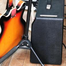 Fender Coronado_12