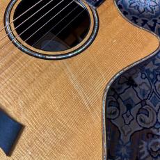 Taylor 914 CE ES-2_3