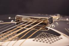 Republic Guitars Style-O type 12Fret_6