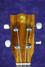 ILIKAI IL-CON-4KGG　オールハワイアンコア単板　2023年新品 _4