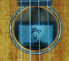 ILIKAI IL-CON-4KGG　オールハワイアンコア単板　2023年新品 _6