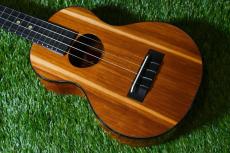 KoAloha KCM-00 RedLabel Concert【2021-2022 WINTER】