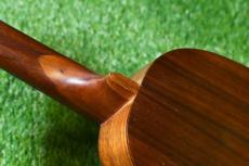 Ceniza Pineapple SopranoLongneck【USED】_9