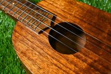 Ceniza Pineapple SopranoLongneck【USED】_10