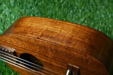 Ceniza Pineapple SopranoLongneck【USED】_16