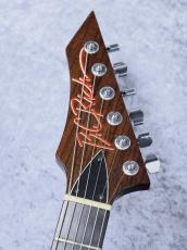 B.C.Rich USA STEALTH【1980年代製】" Super Rare "  USA製 STEALTH!!_9