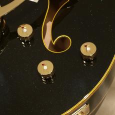 Gretsch Falcon™ Hollow Body with String-Thru Bigsby® and Gold Hardware, Tokyo Midnight Sparkle_9