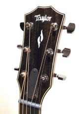 Taylor 814ce_3