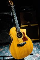Taylor 214ce-KOA  / 2013_2