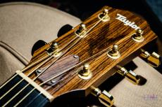 Taylor 214ce-KOA  / 2013_4