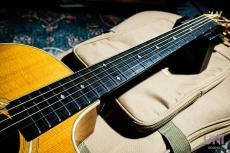 Taylor 214ce-KOA  / 2013_5