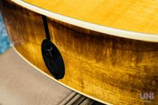 Taylor 214ce-KOA  / 2013_7