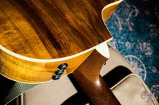 Taylor 214ce-KOA  / 2013_8