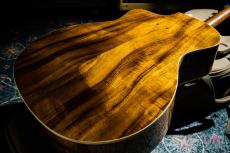 Taylor 214ce-KOA  / 2013_9