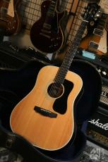 Guild D-50 NT 1981_2