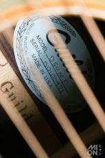 Guild D-50 NT 1981_6