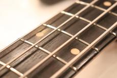 Fender 1959 Precision Bass "First Rosewood Fingerboard"_4