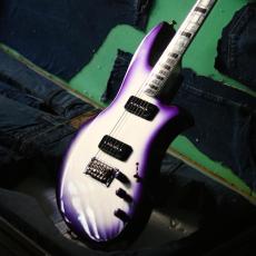 Personal Builder Production ”Silver Surfer”