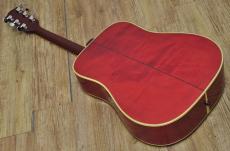 Gibson Dove 1969_2