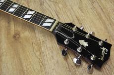Gibson Dove 1969_3