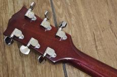 Gibson Dove 1969_4
