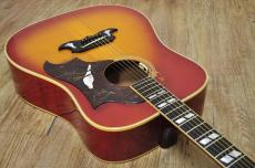 Gibson Dove 1969_8