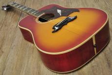Gibson Dove 1969_9