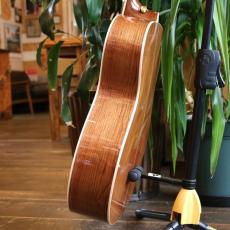 Martin Limiterd Edition CEO-10 w/Fishman Element VTC_10