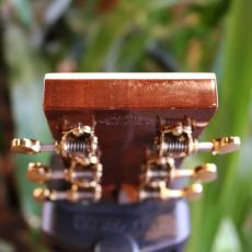 Martin Limiterd Edition CEO-10 w/Fishman Element VTC_11