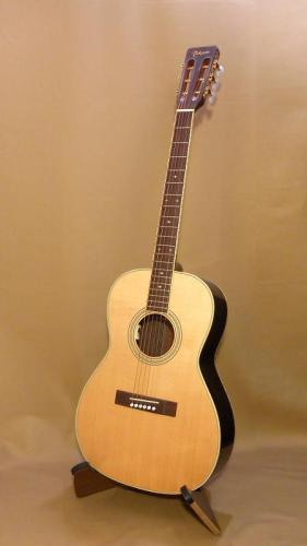 Takamine TSN10