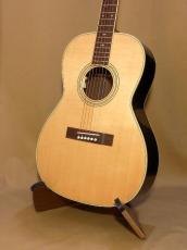 Takamine TSN10_2