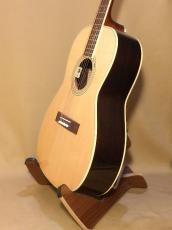Takamine TSN10_4