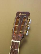 Takamine TSN10_6
