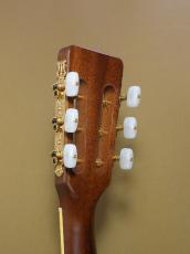 Takamine TSN10_7