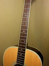Takamine TSN10_8