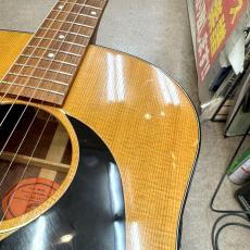 Gibson WM-45_7