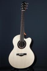 Peggy White PREMIER Cutaway